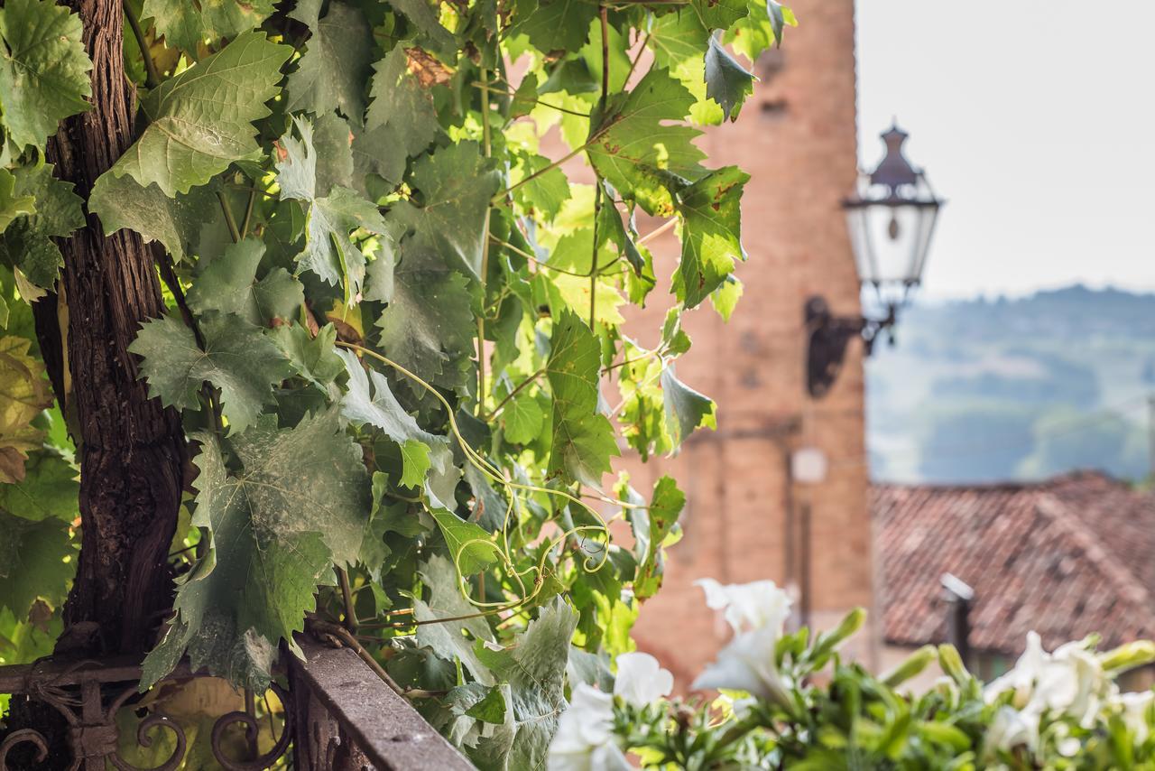 B&B Antico Tralcio Antignano  エクステリア 写真