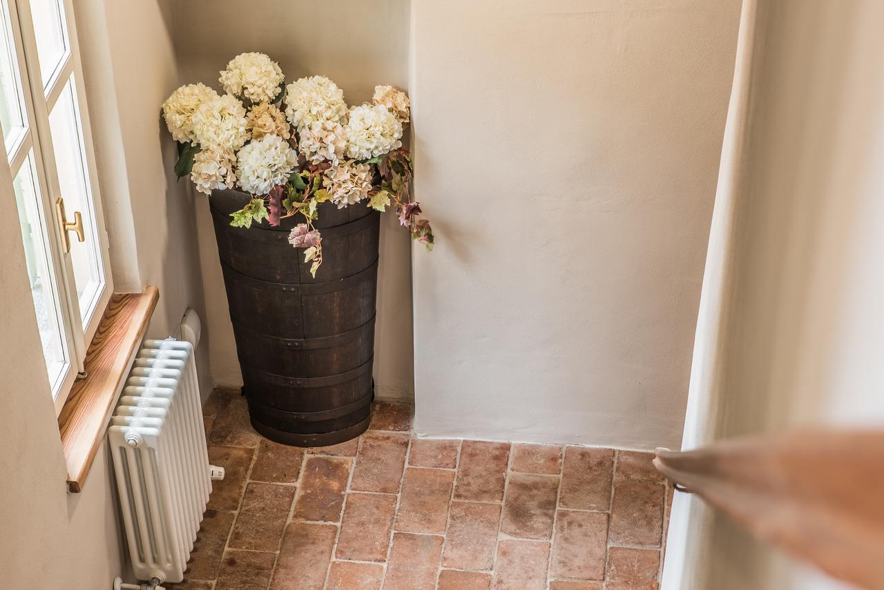 B&B Antico Tralcio Antignano  エクステリア 写真