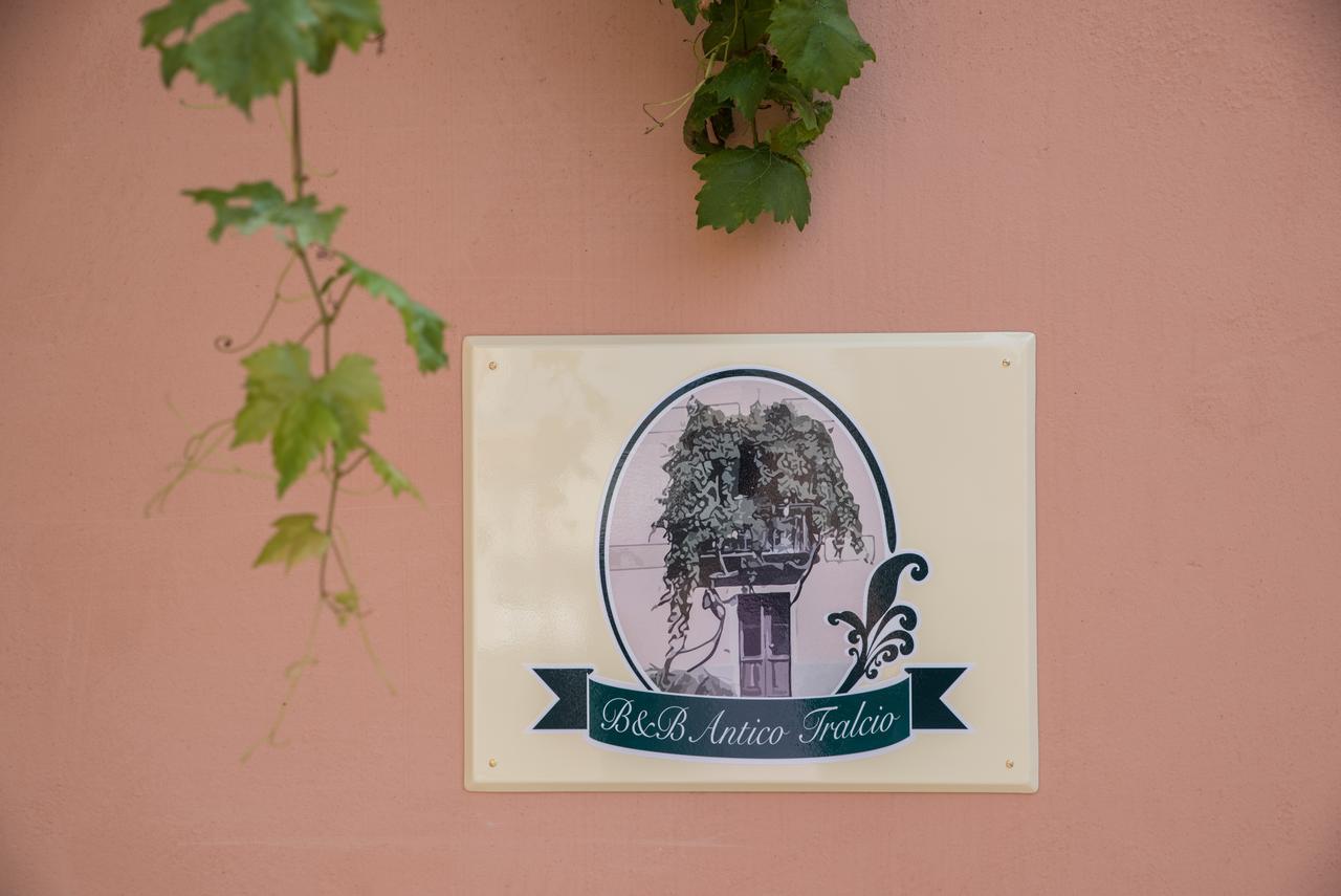 B&B Antico Tralcio Antignano  エクステリア 写真