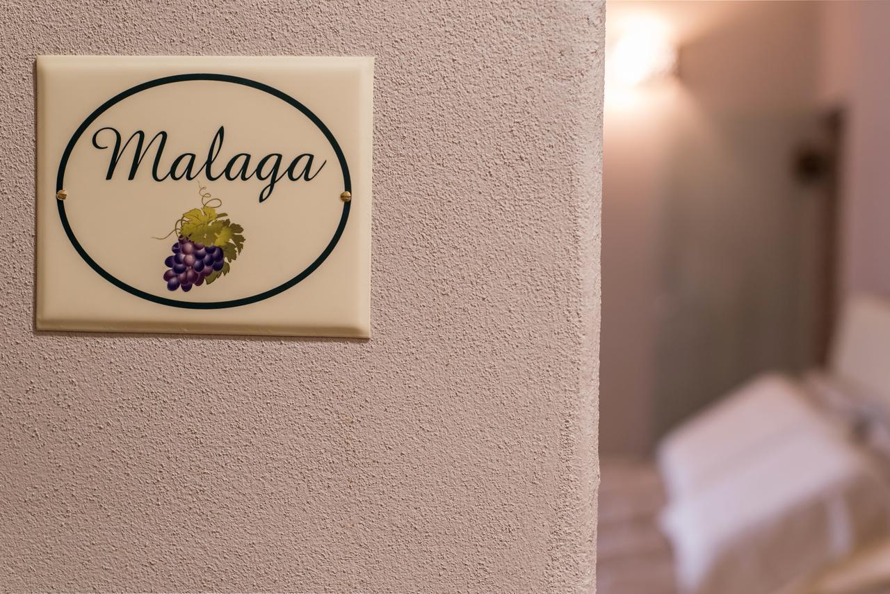 B&B Antico Tralcio Antignano  エクステリア 写真